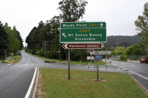 Start of the Mt. Donna Buang climb.