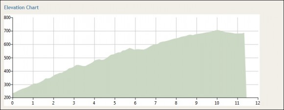 Profile of the Reeds Lookout climb.