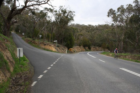End of the climb to Skyline Road. End of the climb to Skyline Road.