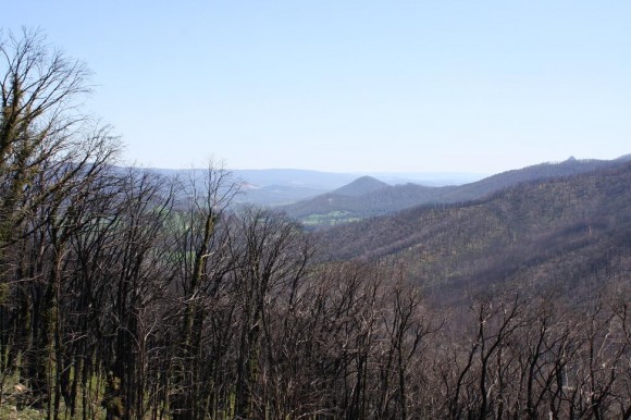 View from the Lake Mountain climb. View from the Lake Mountain climb.