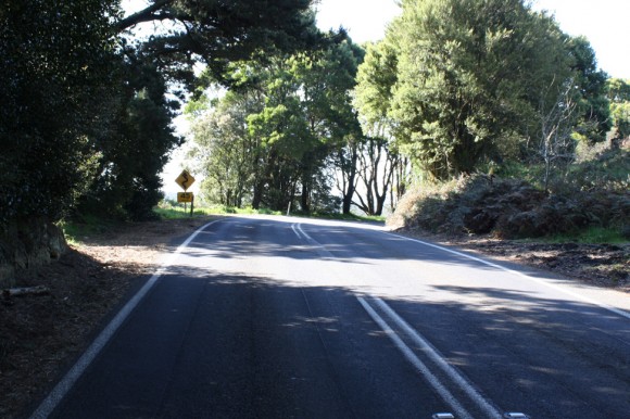 End of the Skenes Creek Road climb. End of the Skenes Creek Road climb.