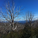 7 Peaks - Ride 1 (010)