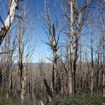 7 Peaks - Ride 1 (028)