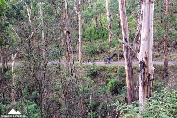 Nick descends a much smoother section of road on the way into Lorne.
