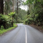 New climb added to the site: Perrins Creek Road