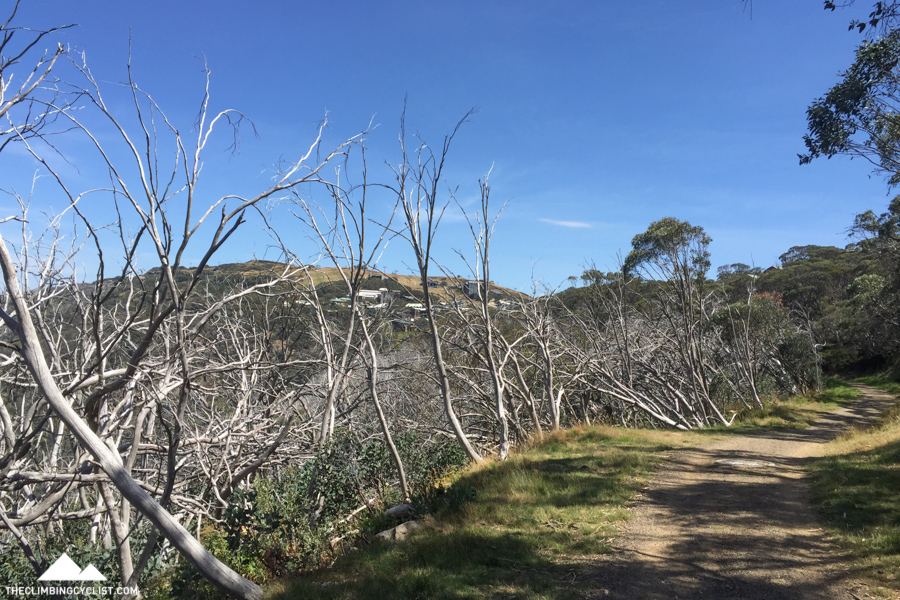 Just a kilometre or two away from the Mt. Buller village.
