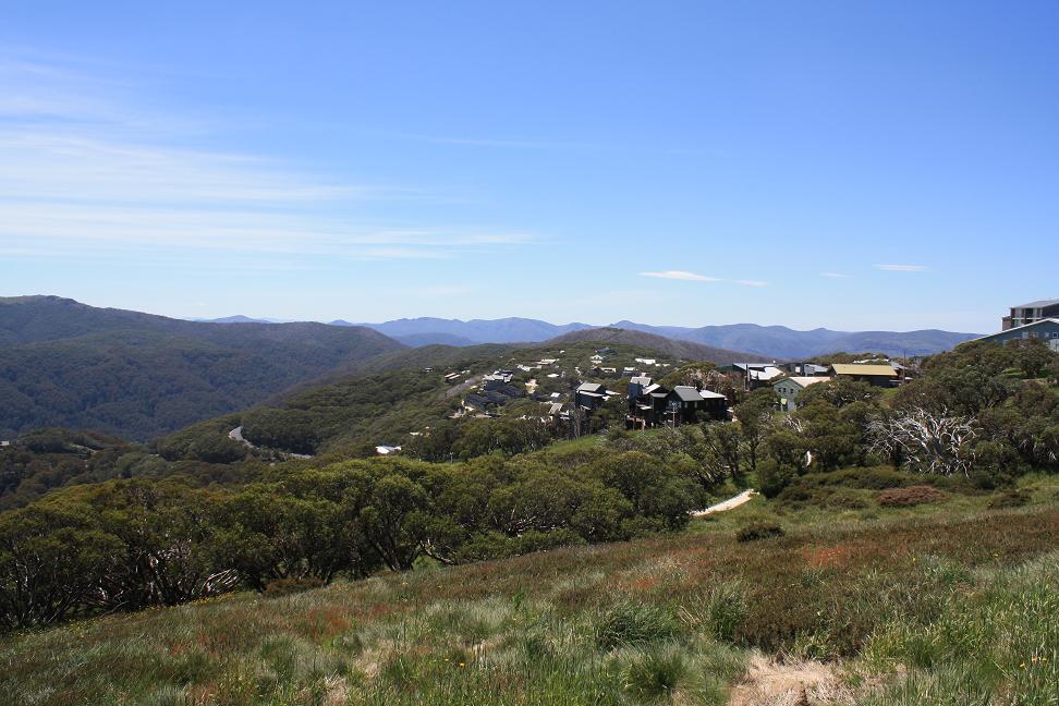 View from Mt. Buller.
