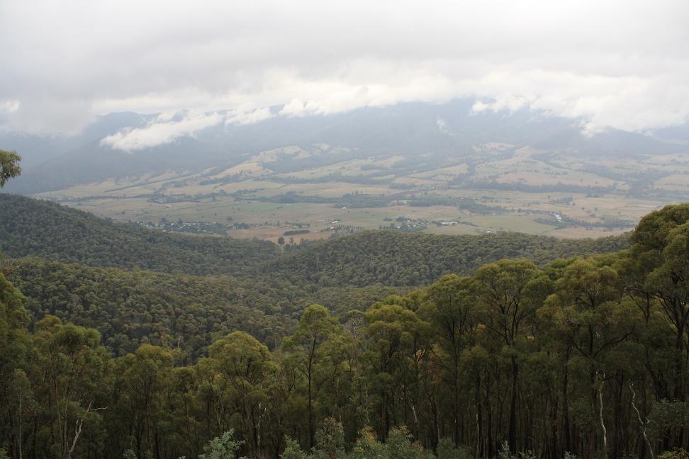 View from the Tawonga Gap.
