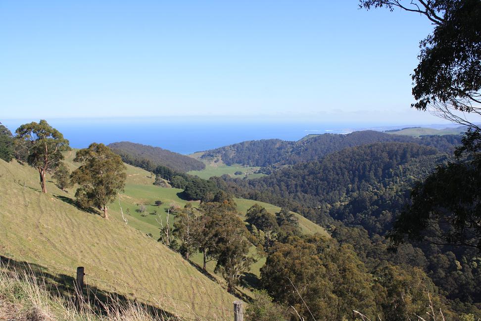View from the Skenes Creek Road climb.