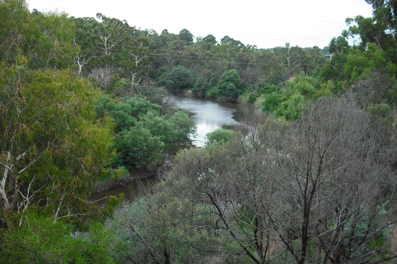 View of the Yarra River