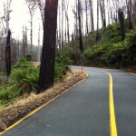 Return to the Reefton Spur (of climbs, cold and KOMs)