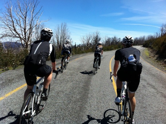 This is what cycling's all about: great weather, great roads and great company.