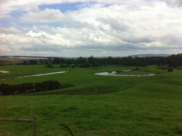 Open farmland east of Melbourne.