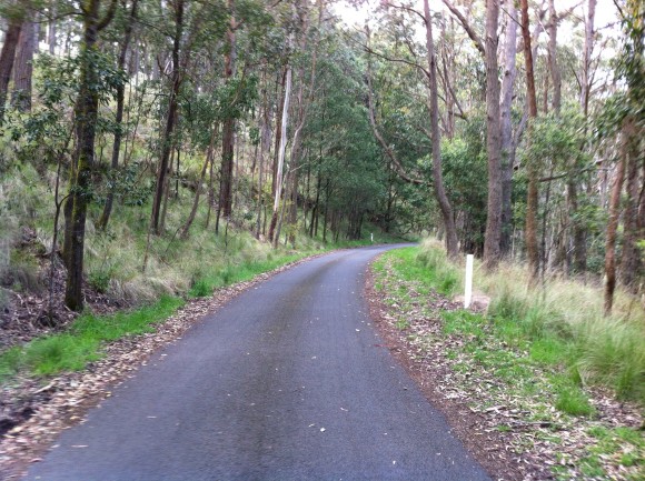 The upper slopes of Mt. Buninyong.