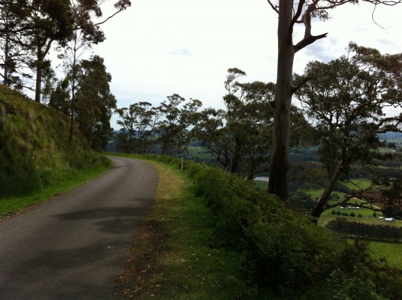 Great views on the Mt. Buninyong descent.