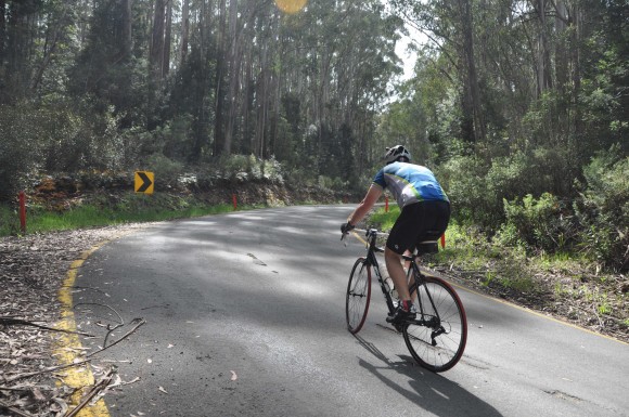 Brian grinds away through the steepest part of the climb. (Image: Tam van Bergen)