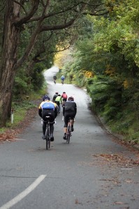 It's hard enough climbing Mast Gully Road once, let alone 6 times! (Image: Luke Yeatman)