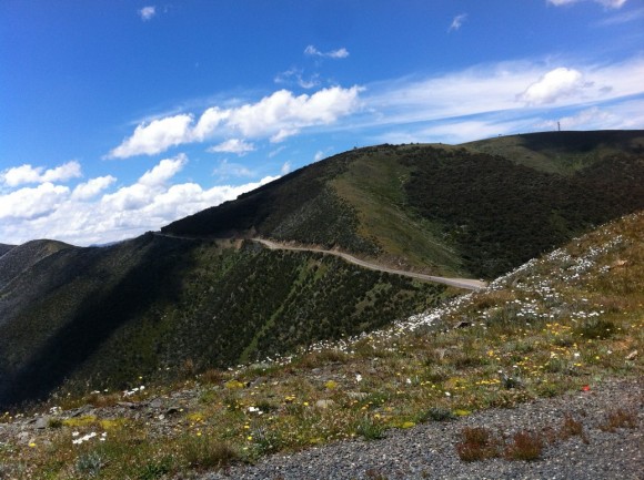 The final third of the Mt. Hotham climb is the hardest, but also the most scenic.