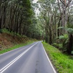 Guest post: The best (and worst) Dandenongs descents