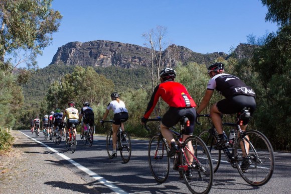 The bunch heads south on Grampians Road on the Saturday morning. (Image: Wil Gleeson)