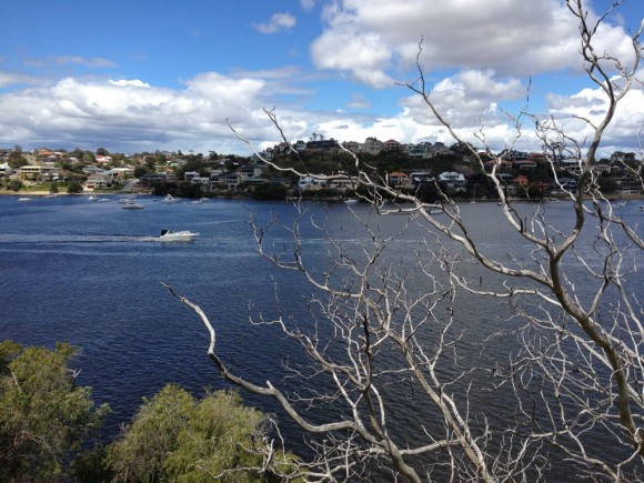 More views of the Swan River.