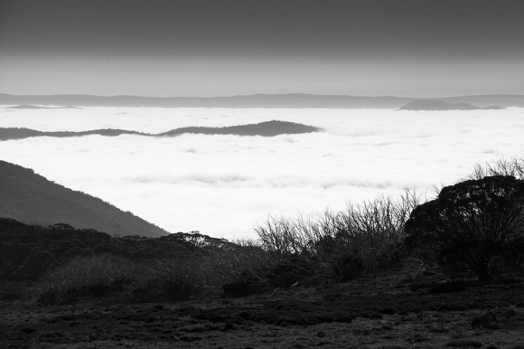 We passed through a cloud layer on the way down from Falls Creek to Omeo.