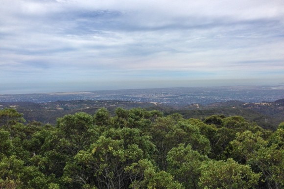 Looking down over Adelaide from Mt. Lofty.