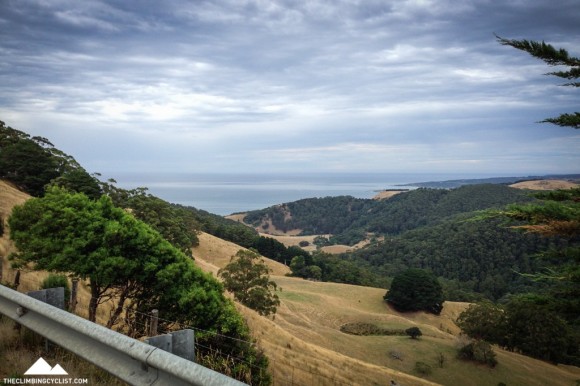 View from the Skenes Creek Road climb.