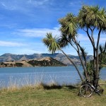La Marmotte Dreaming: a very tough ride near Christchurch