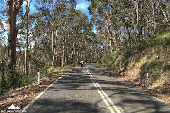 Rolling back into Lorne.
