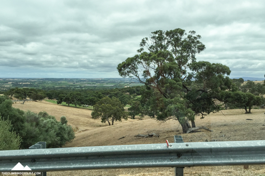 The view from the media car while climbing Willunga Hill. I'm still yet to climb this now-famous climb by bike.